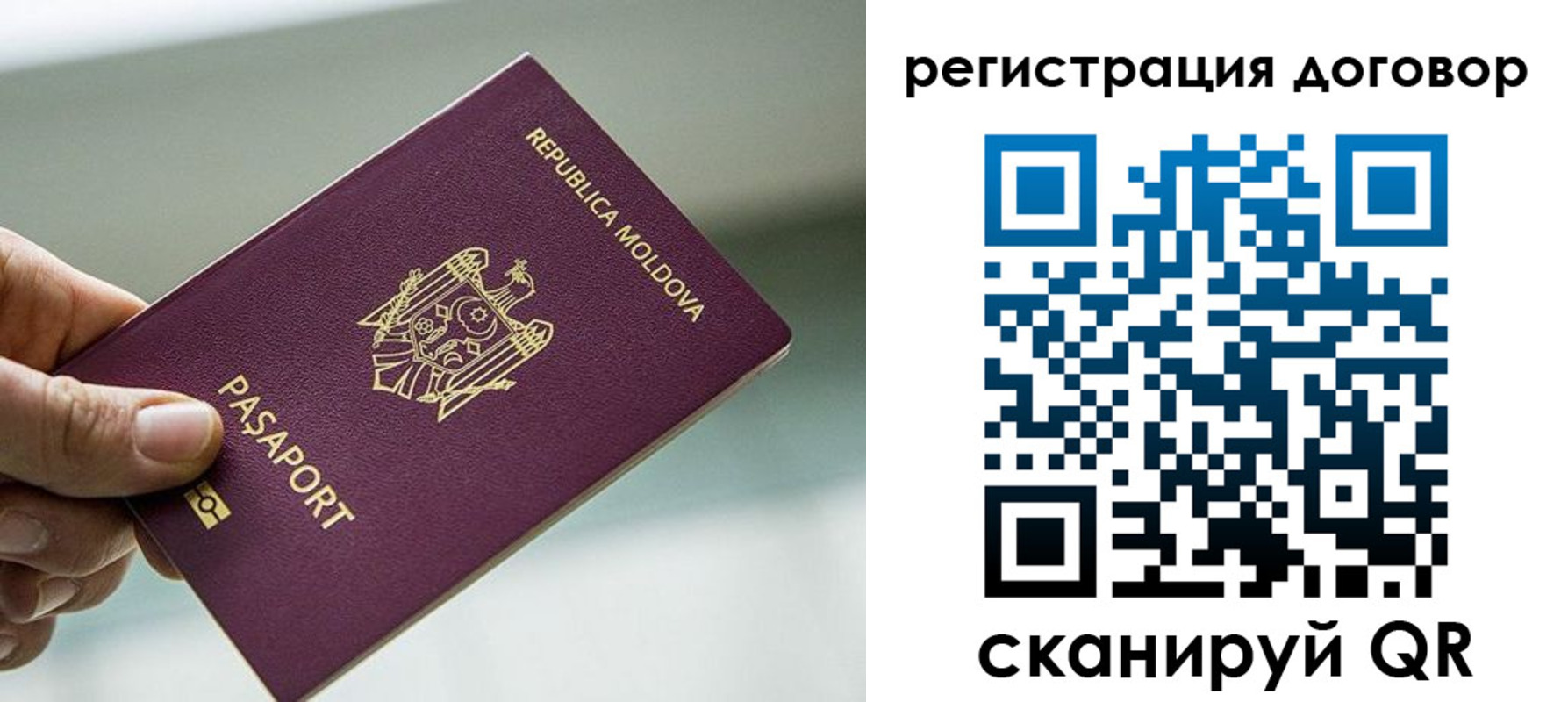 прописка в квартире в Чкаловске